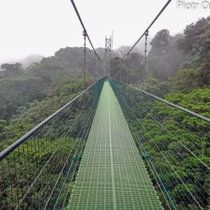 Kostaryka, pomosty wiszące nad lasem mglistym